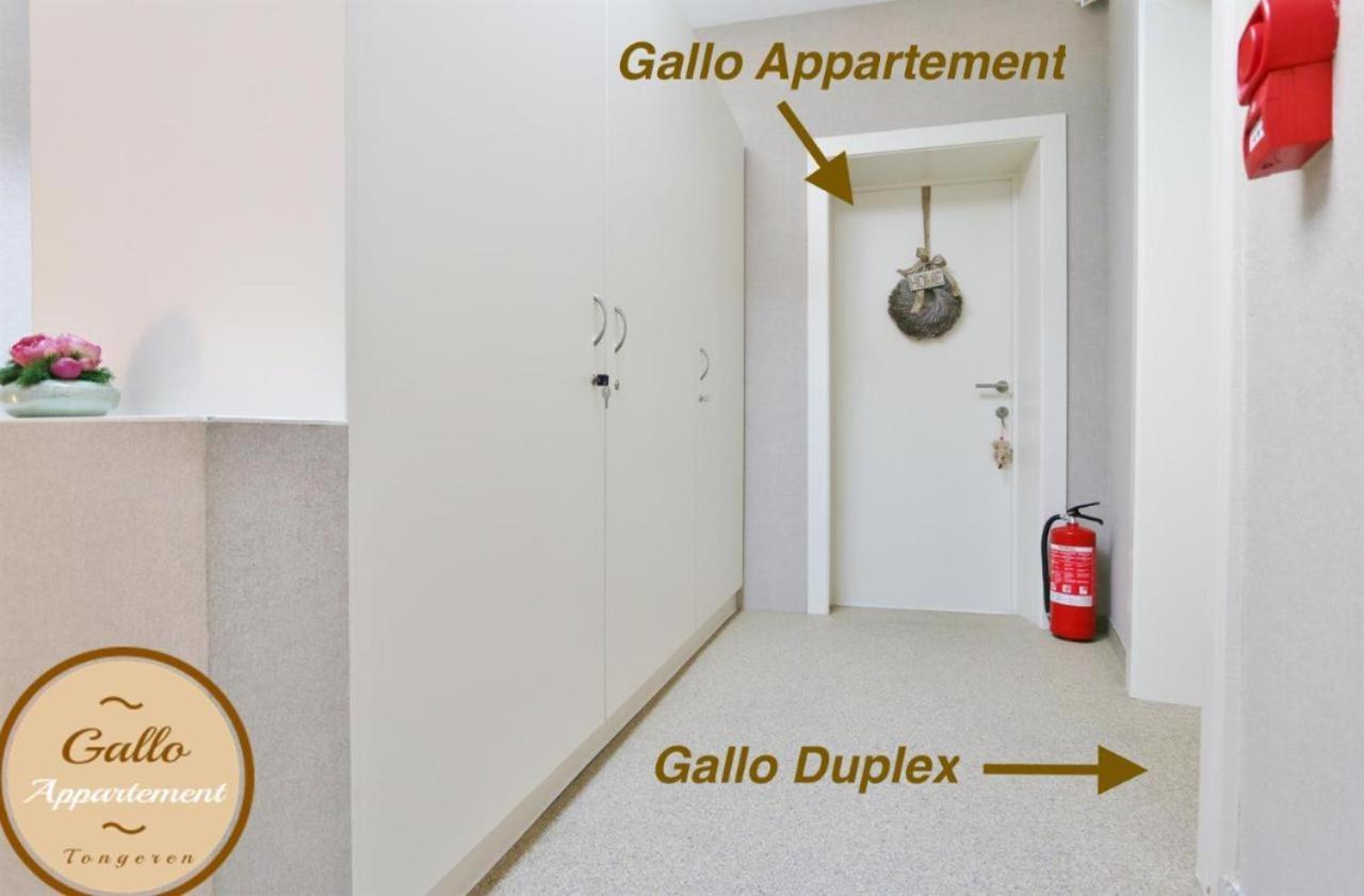Gallo Appartement & Duplex Tongeren Centrum Εξωτερικό φωτογραφία